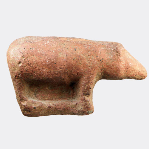 Miscellaneous Antiquities - Italic pottery votive boar or pig