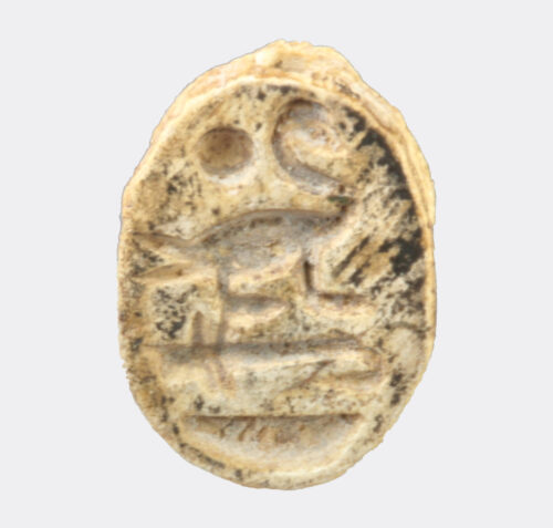 Egyptian Antiquities - Egyptian New Kingdom inscribed scarab