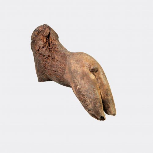 Egyptian Antiquities - Egyptian carved wood lion fragment