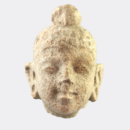Miscellaneous Antiquities - Gandhara stucco head of Buddha