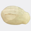 West Asian Antiquities - Babylonian quartzite duck weight