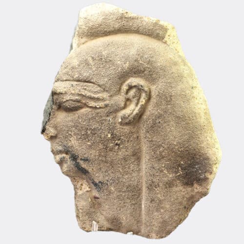 Egyptian sandstone relief fragment with profile head