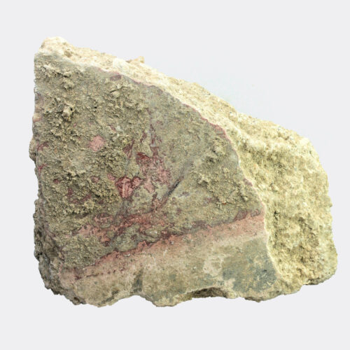 Roman painted stucco mural fragment