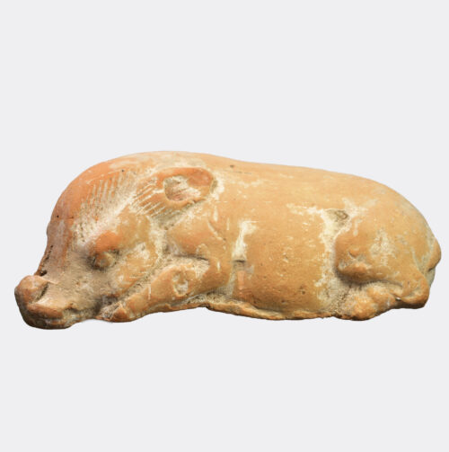 Chinese T'ang Dynasty terracotta pig