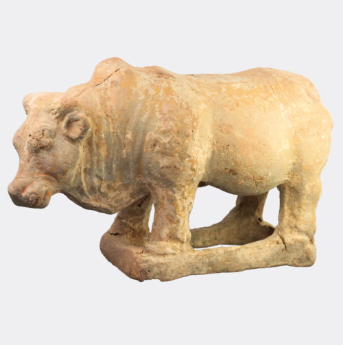 Chinese Tang Dynasty terracotta cow figure