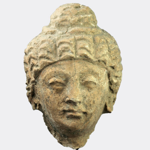 Gandharan Buddhist stucco head fragment