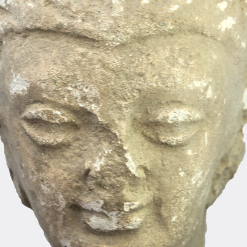 Gandharan Buddhist stucco head fragment