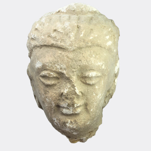 Gandharan Buddhist stucco head fragment