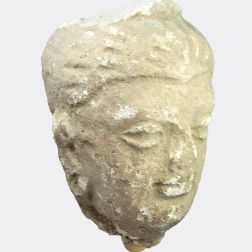 Gandharan Buddhist stucco head fragment