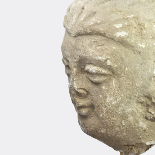 Gandharan Buddhist stucco head fragment