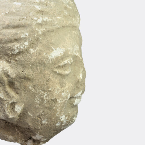 Gandharan Buddhist stucco head fragment