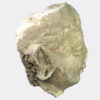 Gandhara stucco moulded Buddhist head