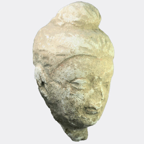 Gandharan Buddhist stucco head