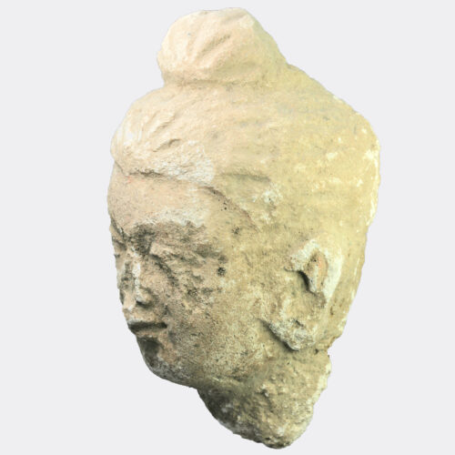Gandharan Buddhist stucco head