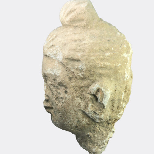 Gandharan Buddhist stucco head