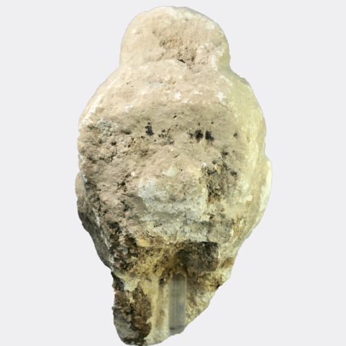 Gandharan Buddhist stucco head