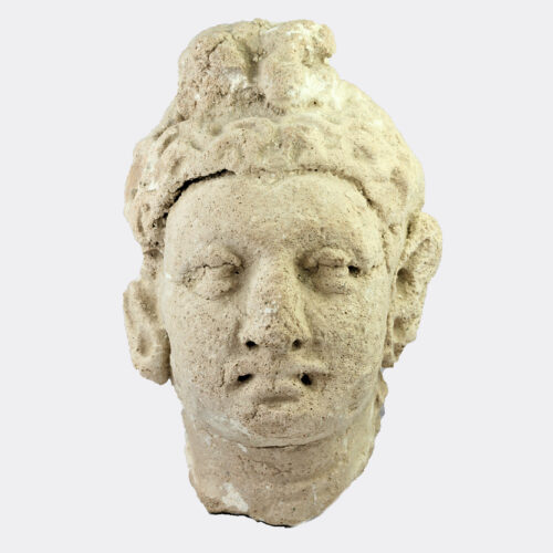 Gandhara stucco moulded head fragment