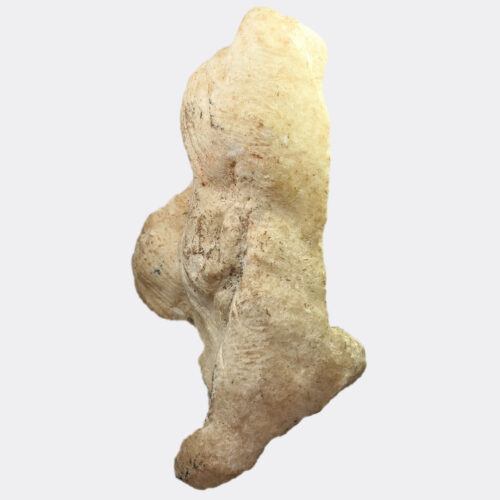 Hellenistic marble fur or pelt fragment