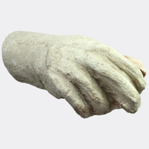 East Mediterranean limestone hand fragment