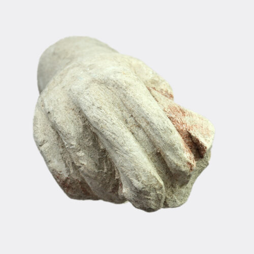 East Mediterranean limestone hand fragment