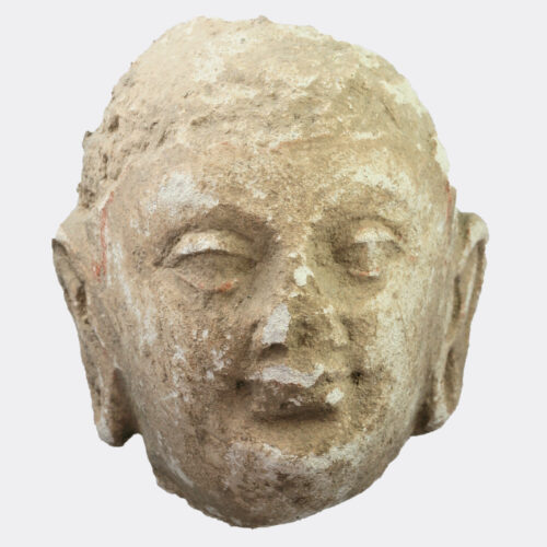Gandhara stucco moulded Buddhist head